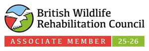 British Hedgehog Preservation Society registered rehabilitator
