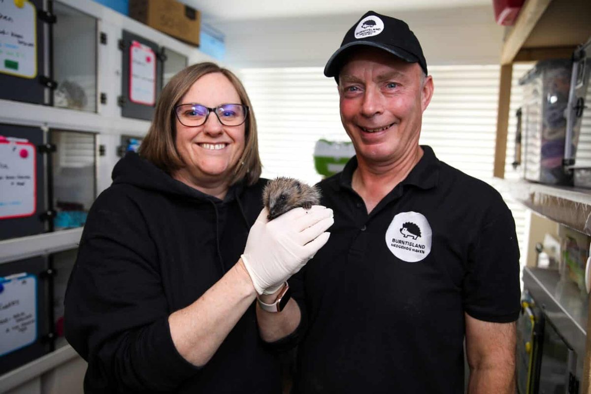 Sharon and Andy Longhurst holding a hedgehog in the rescue room