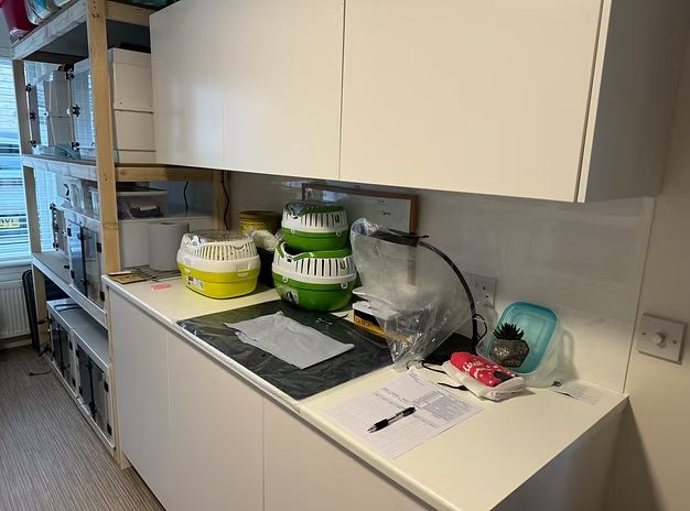 The finished rescue room