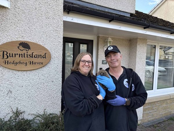 A smiling woman and man in dark clothing, the man wearing blue gloves and holding a hedgehog, outside a house with a hedgehog sign.