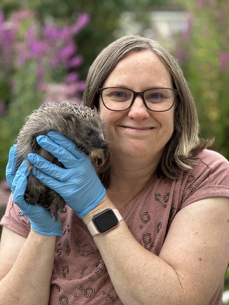 Woman in glasses and blue gloves holds a small hedgehog in front of purple flowers in a garden.