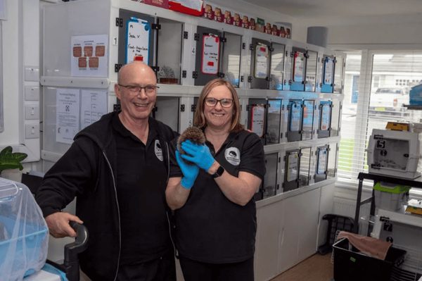 A smiling man and woman in black polo shirts stand in a room of animal enclosures, the woman holding a hedgehog in blue gloves.