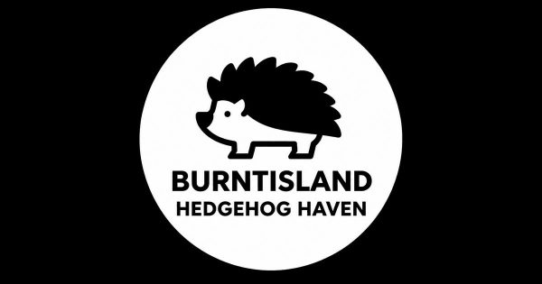 Burntisland Hedgehog Haven website shown on screen