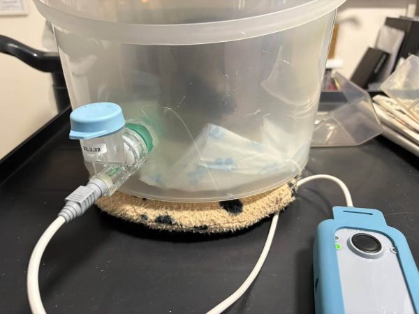 Side view of a clear plastic tub with a blue-capped connector and white cable, sitting on a spotted mat on a black tray.