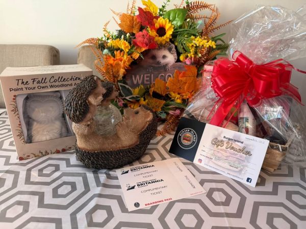 Prizes on display for the Burntisland Hedgehog Haven raffle