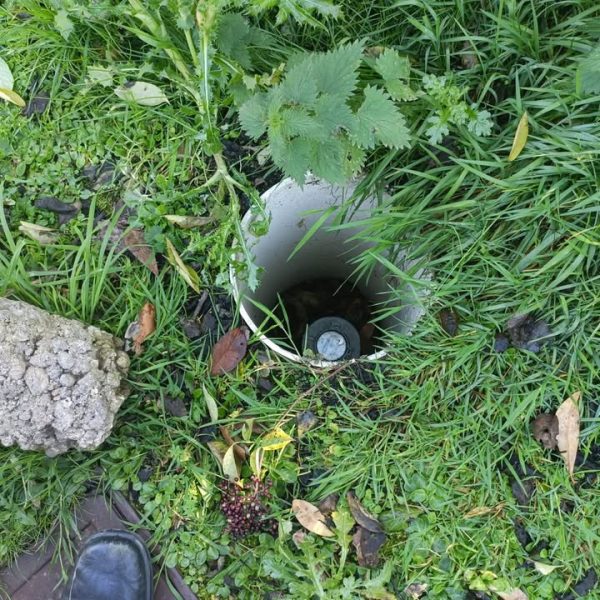 Cover over a hole outside a nursing home that hedgehogs had been falling into