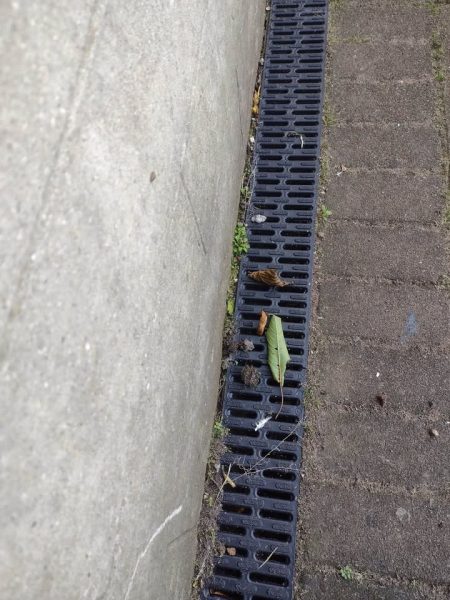 Long black drainage grate beside a concrete wall and paving, with a few fallen leaves on it.
