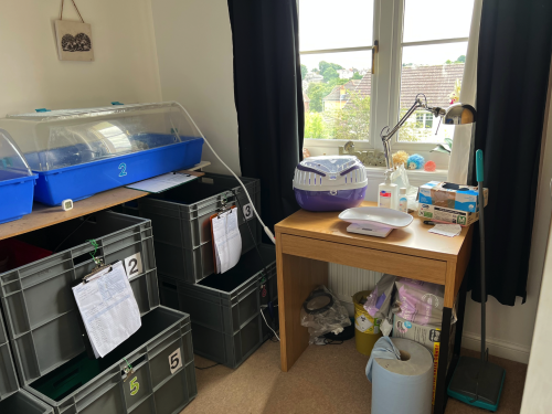 How we started in our spare room